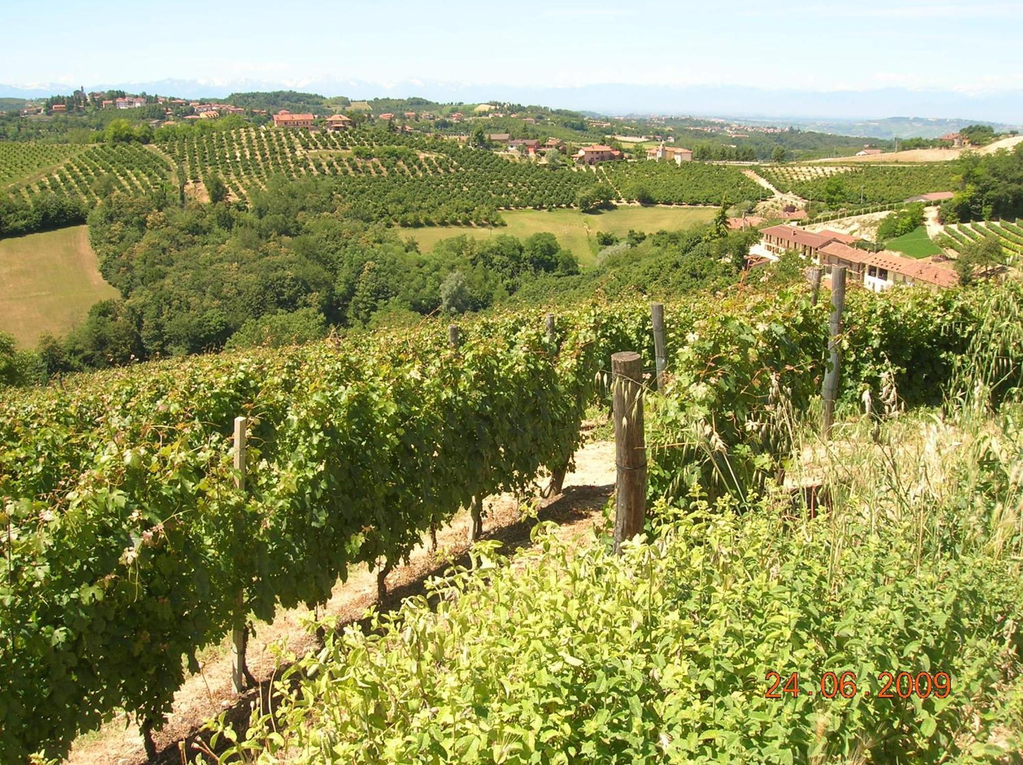 Tenuta Calabiana Diano d'Alba Exterior photo